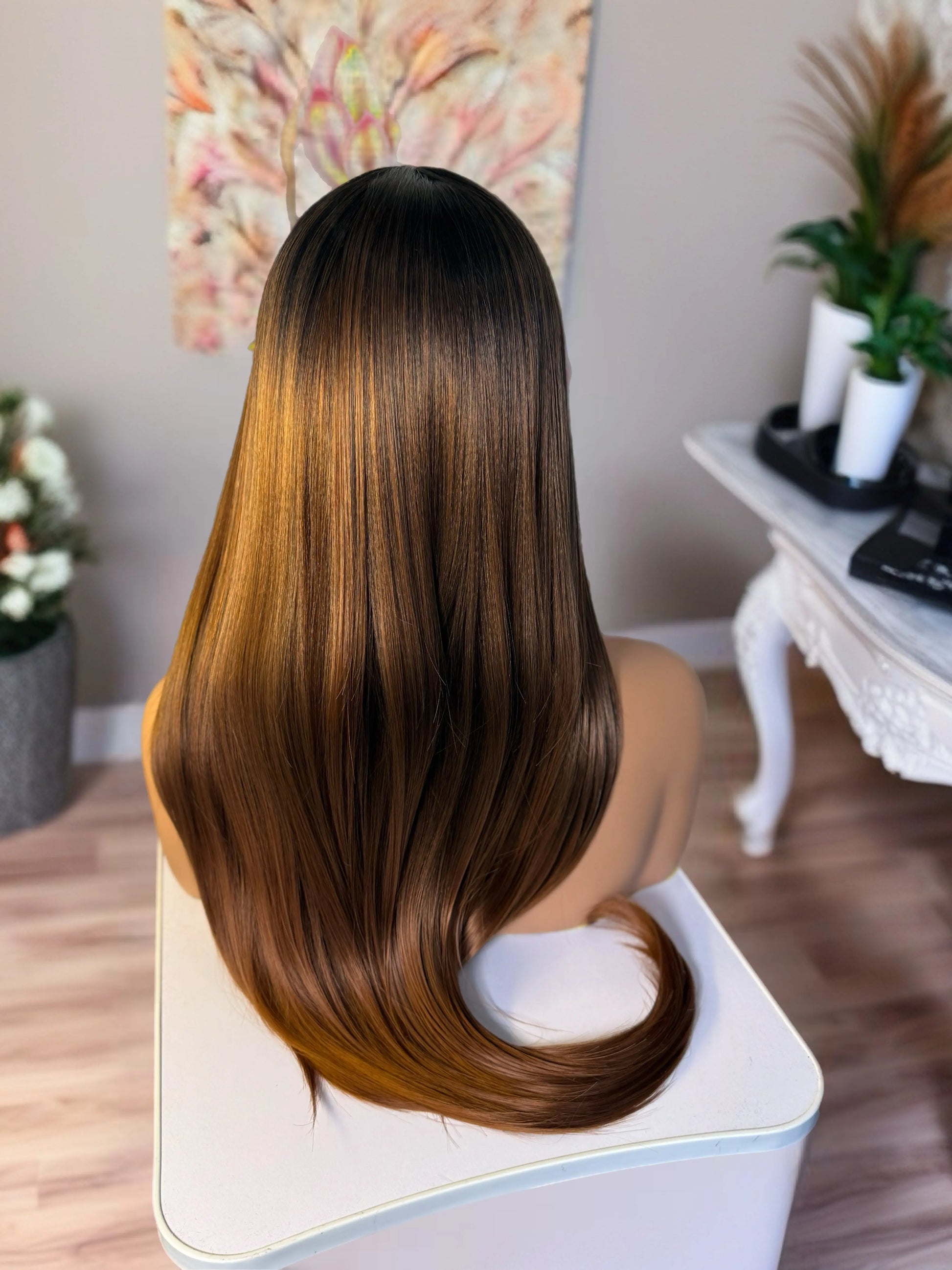 Empress ombré lace front wig Premium Synthetic Wig Sedna Wigs