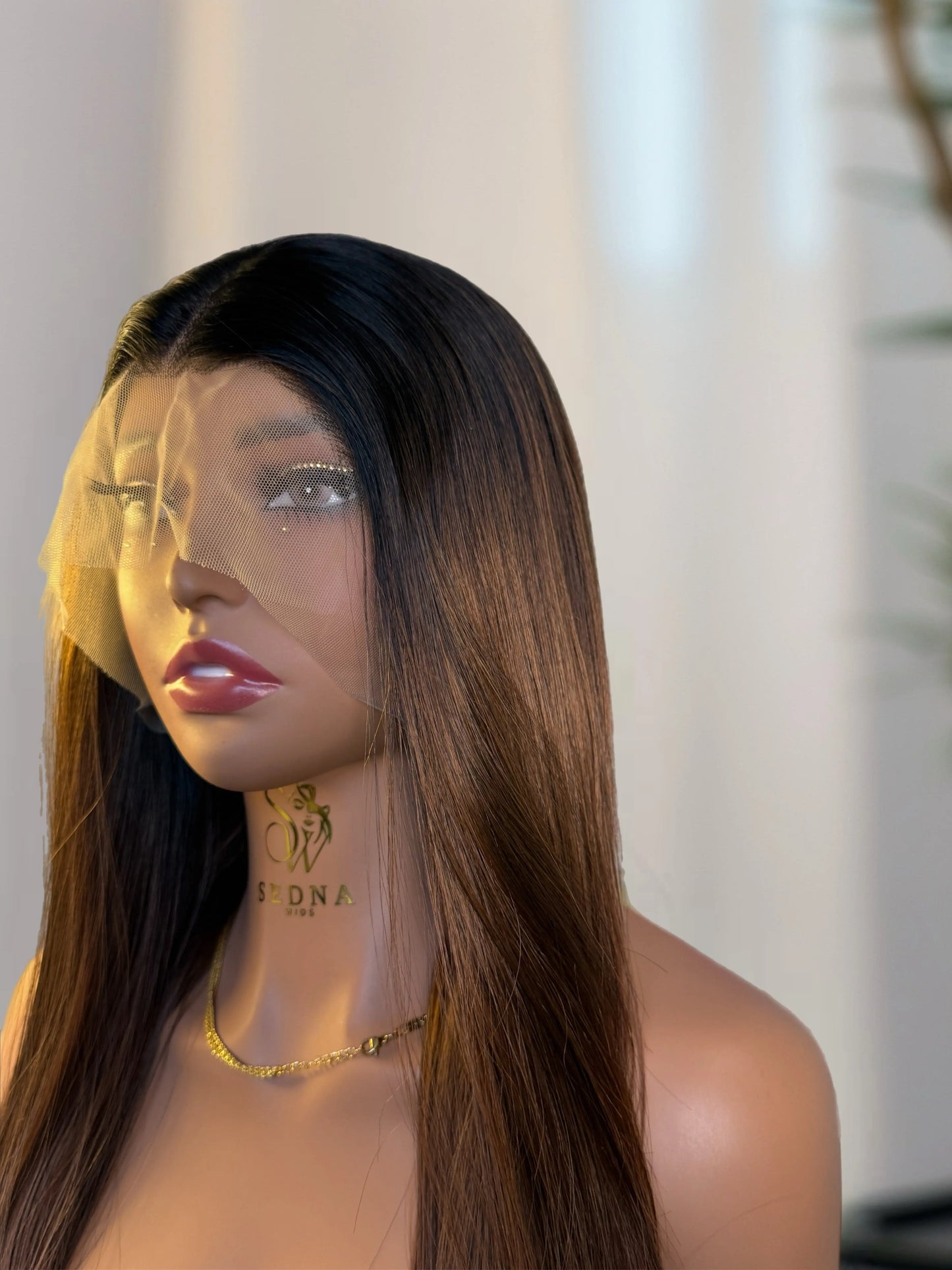 Empress ombré lace front wig Premium Synthetic Wig Sedna Wigs