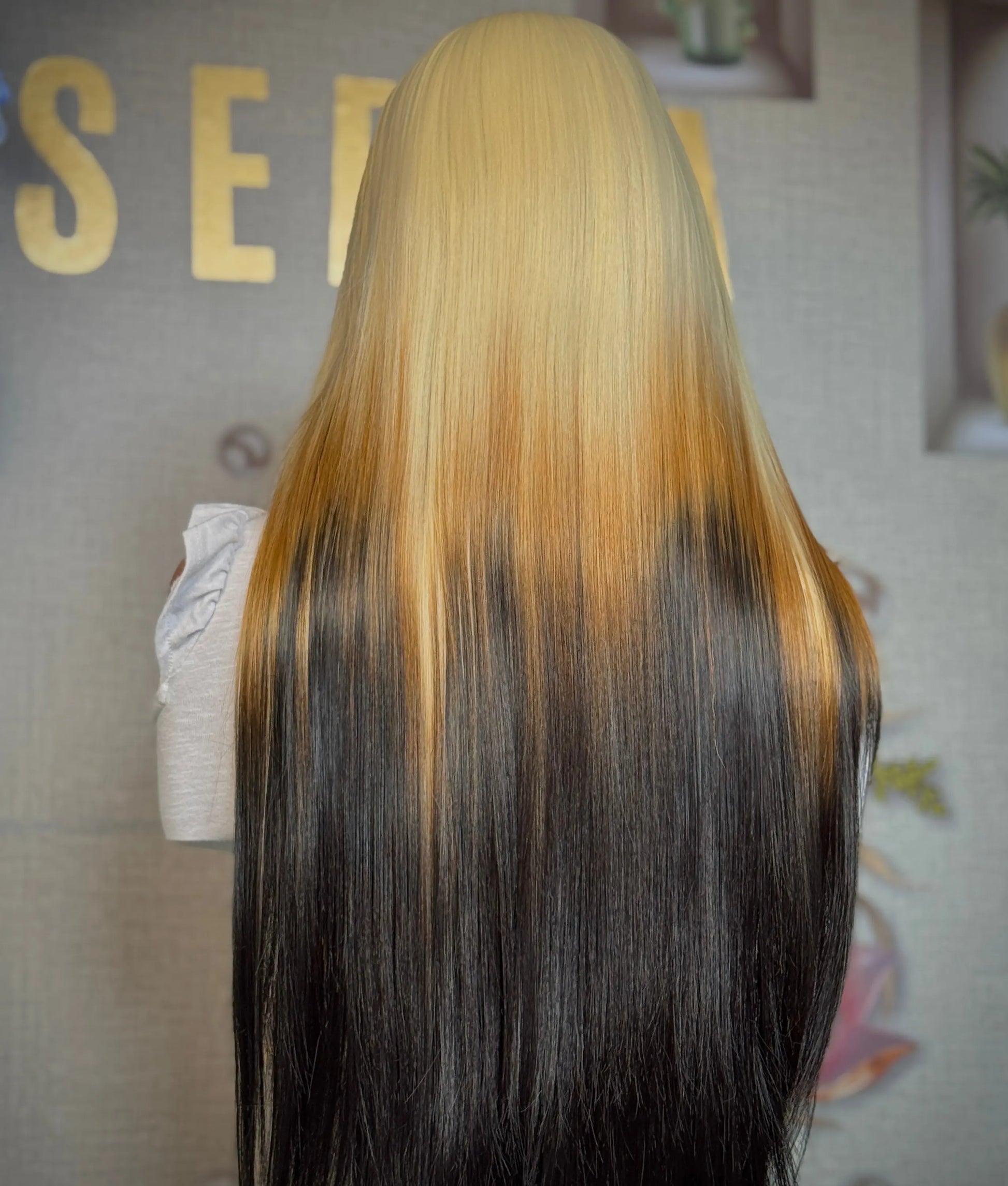 Sophie 24” blonde ombre wig Premium Synthetic Wig Sedna Wigs