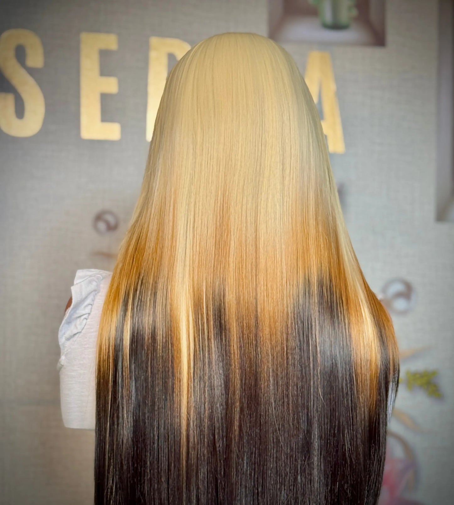 Sophie 24” blonde ombre wig Premium Synthetic Wig Sedna Wigs